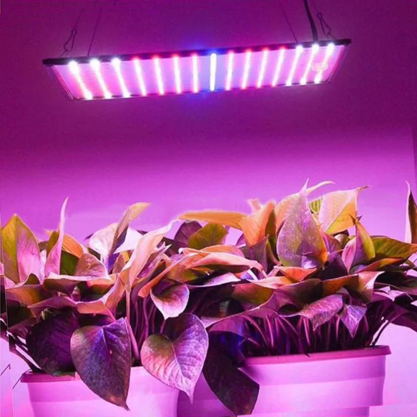 Фито светильники для растений