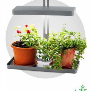 Светильник ЭРА FITO-20W-QLED-G настольный для грунта Фитосветильники Sveto Element Светильник ЭРА FITO-20W-QLED-G настольный для грунта Фитосветильники светодиодные led светильники в Москве