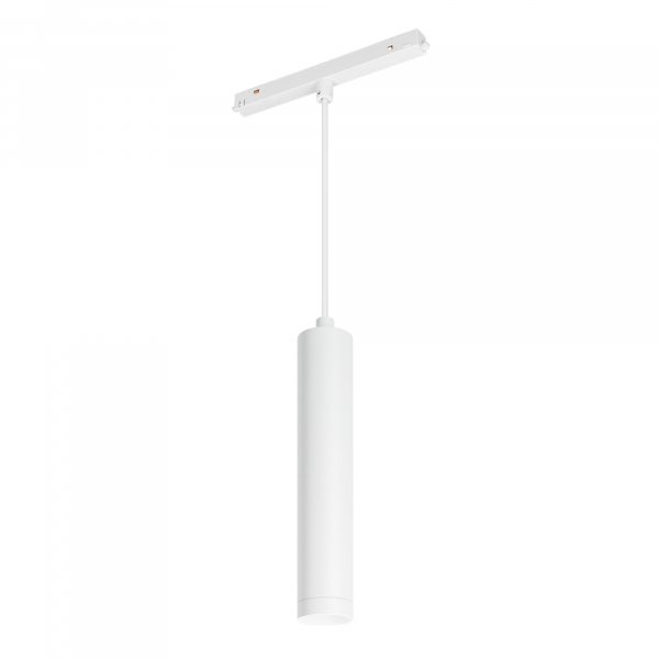 Светильник MAG-ORIENT-SPOT-HANG-R45-12W Day4000 (WH, 24 deg, 48V) (Arlight, IP20 Металл, 3 года) Трековые магнитные системы и аксессуары Sveto Element 3 Светильник MAG-ORIENT-SPOT-HANG-R45-12W Day4000 (WH, 24 deg, 48V) (Arlight, IP20 Металл, 3 года) Трековые магнитные системы и аксессуары светодиодные led светильники в Москве 3