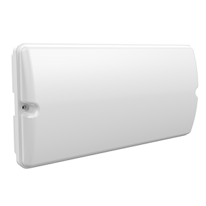 Светильник аварийно-эвакуационный «ВАРТОН» Giant серии Advanced 15W IP65 3ч Пылевлагозащищенные аварийные светильники Sveto Element 3 Светильник аварийно-эвакуационный «ВАРТОН» Giant серии Advanced 15W IP65 3ч Пылевлагозащищенные аварийные светильники светодиодные led светильники в Москве 3