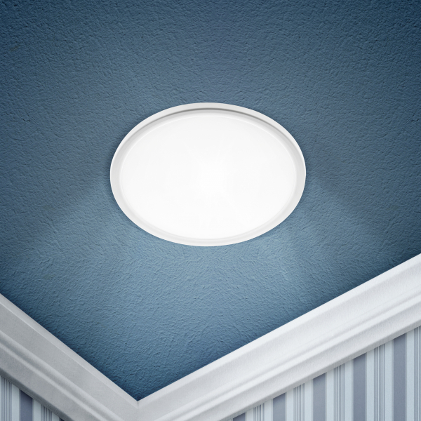 Светильник LED 1-18-6K/1 ЭРА LED 1-18-6K/1 Светильник ЭРА светодиодный круглый LED 18W 220V 6500K ( LED потолочные Down light Sveto Element 3 Светильник LED 1-18-6K/1 ЭРА LED 1-18-6K/1 Светильник ЭРА светодиодный круглый LED 18W 220V 6500K ( LED потолочные Down light светодиодные led светильники в Москве 3