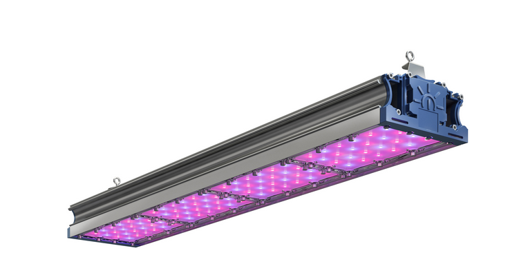 Светильник ФИТО-200W IP67 228ммоль/с КСС Г VR 120х150х823 свечение фиолетовый Технологии Света Фитосветильники Sveto Element 3 Светильник ФИТО-200W IP67 228ммоль/с КСС Г VR 120х150х823 свечение фиолетовый Технологии Света Фитосветильники светодиодные led светильники в Москве 3