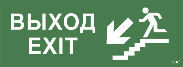 Самоклеющая этик. «Выход/лестница вниз/фигура» ССА 1005 IEK Наклейки к аварийным светильникам Sveto Element 3 Самоклеющая этик. «Выход/лестница вниз/фигура» ССА 1005 IEK Наклейки к аварийным светильникам светодиодные led светильники в Москве 3