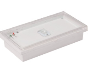 Автономный световой указатель Белый свет BS-BRIZ-73-S1-INEXI2 120х228х50 IP65 3ч постоянный Пылевлагозащищенные аварийные светильники Sveto Element Автономный световой указатель Белый свет BS-BRIZ-73-S1-INEXI2 120х228х50 IP65 3ч постоянный Пылевлагозащищенные аварийные светильники светодиодные led светильники в Москве