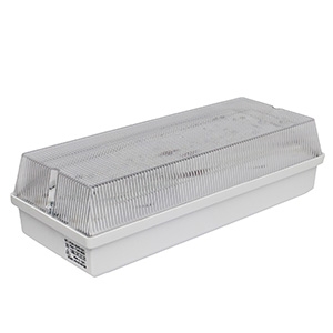 Белый свет BS-UNIVERSAL-53-L1-INEXI2 12,5Вт 105х310х155 IP65 3 часа Комбинированный Пылевлагозащищенные аварийные светильники Sveto Element 3 Белый свет BS-UNIVERSAL-53-L1-INEXI2 12,5Вт 105х310х155 IP65 3 часа Комбинированный Пылевлагозащищенные аварийные светильники светодиодные led светильники в Москве 3