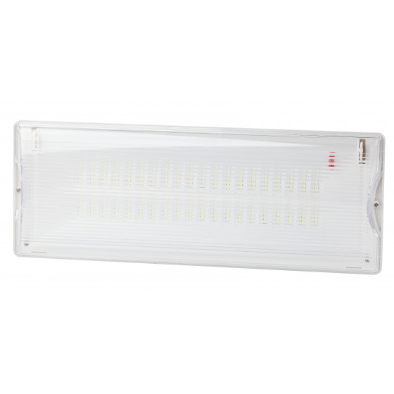 Аварийный светильник ЭРА DPA-301-1-65 постоянный 40LED 3ч IP65 NiCD Пылевлагозащищенные аварийные светильники Sveto Element 3 Аварийный светильник ЭРА DPA-301-1-65 постоянный 40LED 3ч IP65 NiCD Пылевлагозащищенные аварийные светильники светодиодные led светильники в Москве 3